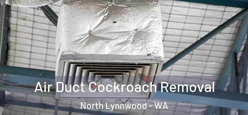 Air Duct Cockroach Removal North Lynnwood - WA