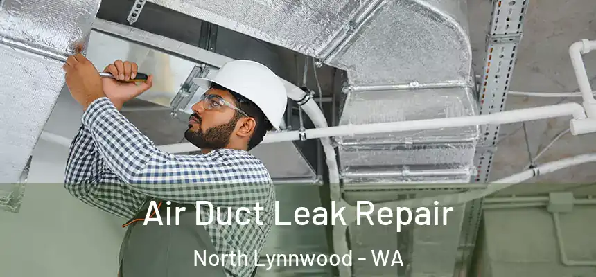  Air Duct Leak Repair North Lynnwood - WA