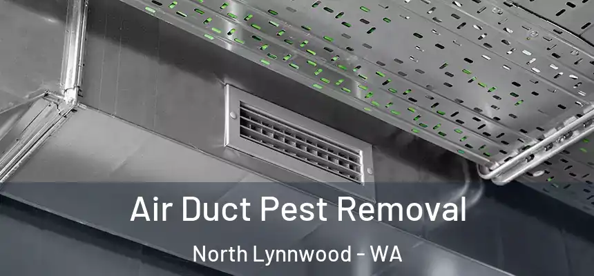  Air Duct Pest Removal North Lynnwood - WA