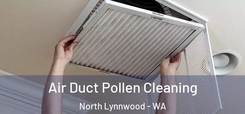  Air Duct Pollen Cleaning North Lynnwood - WA