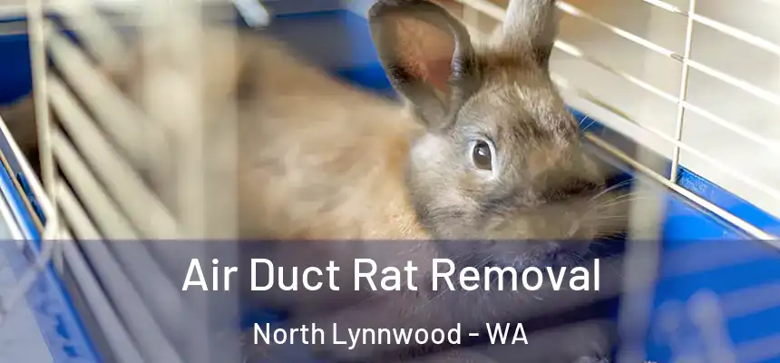 Air Duct Rat Removal North Lynnwood - WA