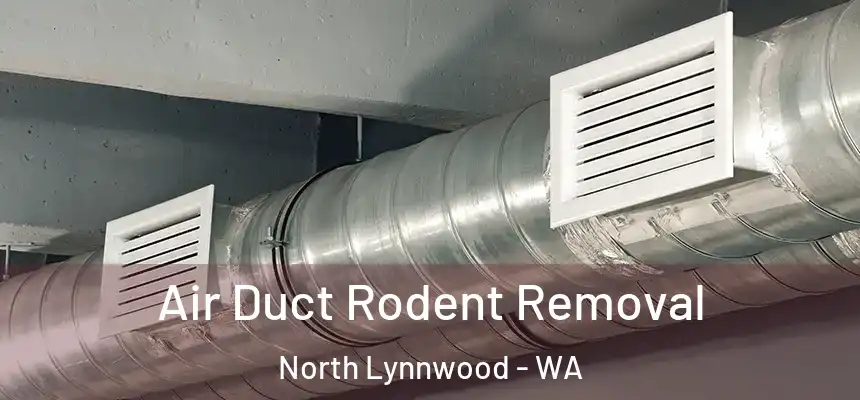  Air Duct Rodent Removal North Lynnwood - WA