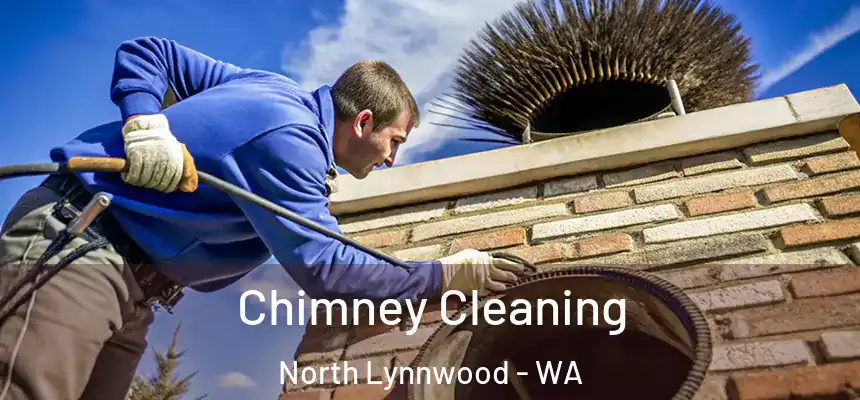 Chimney Cleaning North Lynnwood - WA