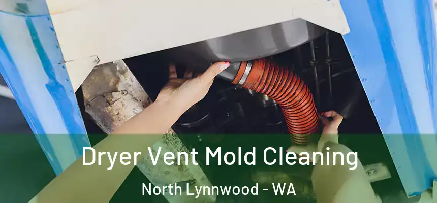 Dryer Vent Mold Cleaning North Lynnwood - WA