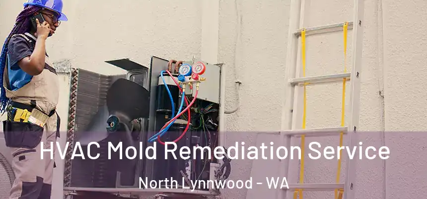  HVAC Mold Remediation Service North Lynnwood - WA