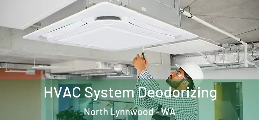  HVAC System Deodorizing North Lynnwood - WA