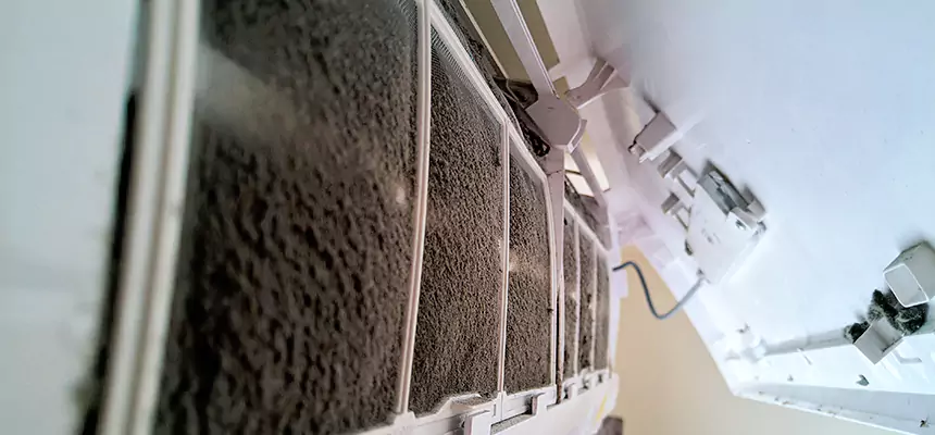 Preventive Air Duct Bacteria Removal in North Lynnwood