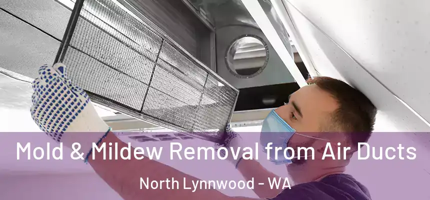  Mold & Mildew Removal from Air Ducts North Lynnwood - WA