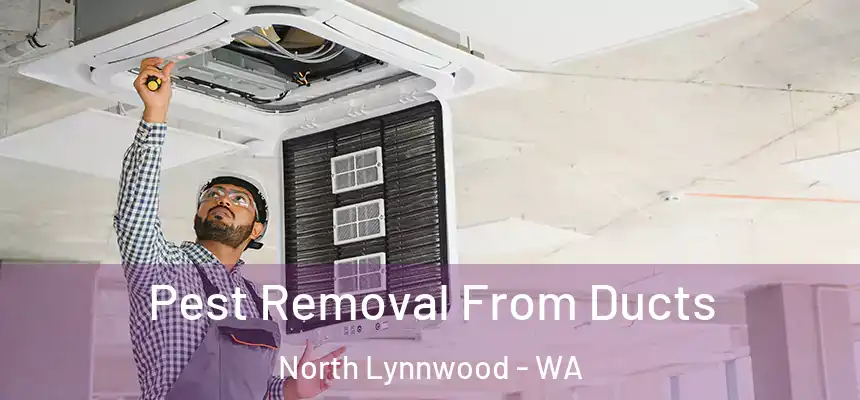 Pest Removal From Ducts North Lynnwood - WA