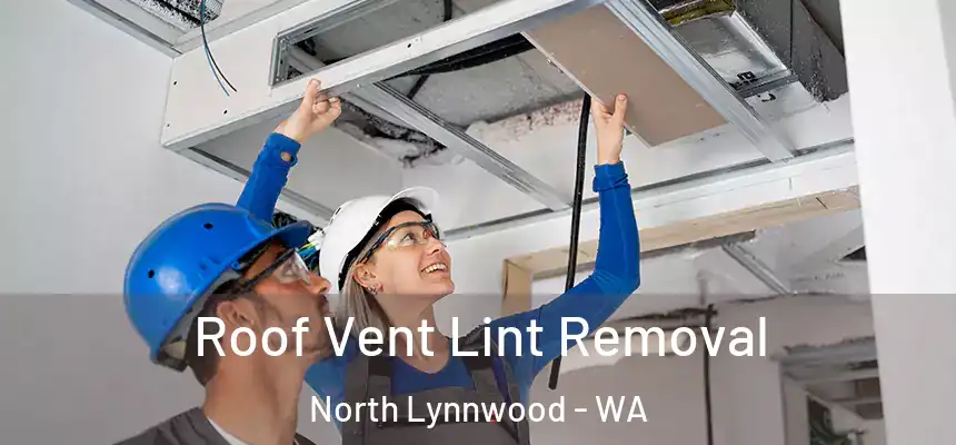 Roof Vent Lint Removal North Lynnwood - WA