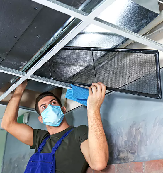 About Air Duct Bacteria Removal in North Lynnwood