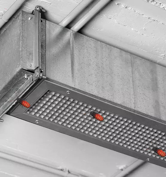 Affordable Insect Removal from Air Ducts in North Lynnwood, WA