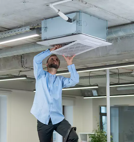 Advanced Rodent Droppings In Vents in North Lynnwood, WA