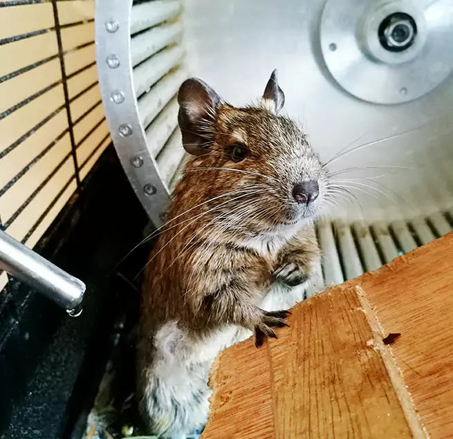 Why Homeowners & Businesses Trust Us North Lynnwood, WA