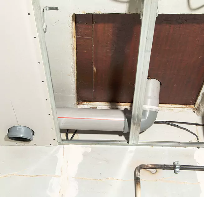 Why Homeowners & Businesses Trust Us in North Lynnwood, WA?