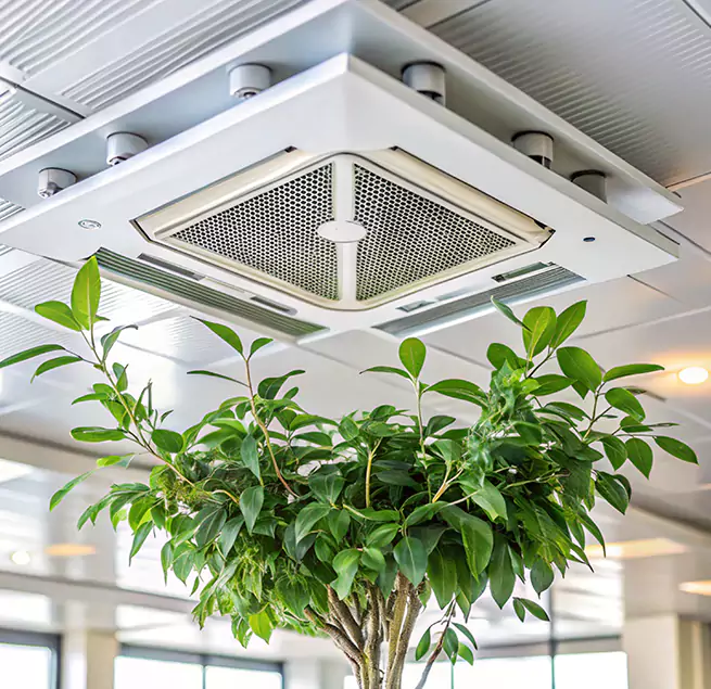 Why Homeowners & Businesses Trust Us in North Lynnwood, WA?