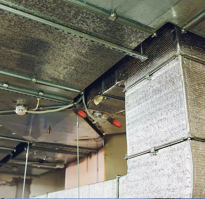 Why Homeowners & Businesses Trust Us North Lynnwood, WA?