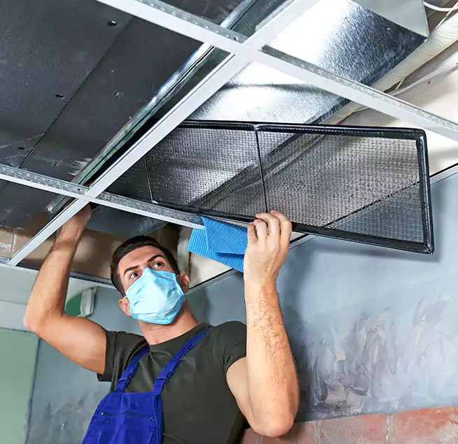 Why Homeowners Businesses Trust Us in North Lynnwood, WA