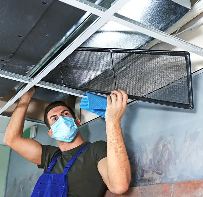 Why Homeowners & Businesses Trust Us in North Lynnwood, WA?